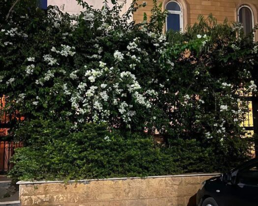 Duplex for Sale in Al-Difa Al Watani, 5th Settlement