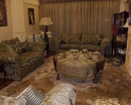 Nile View Apartments for Sale in Zamalek